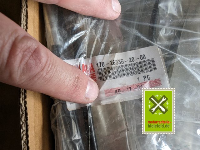 PXL_20240510_150349166